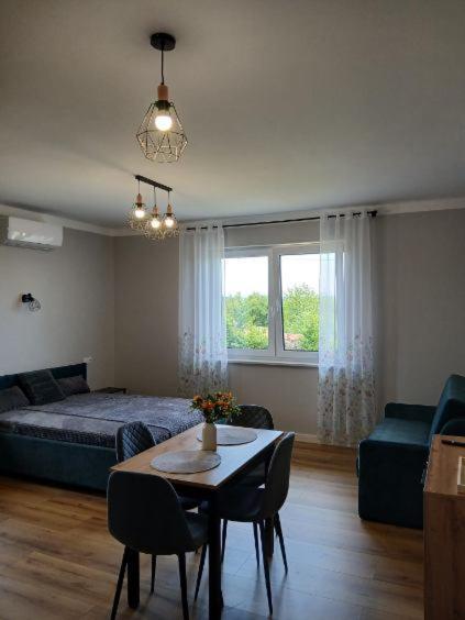 Privatunterkunft Sunny House Witanowice